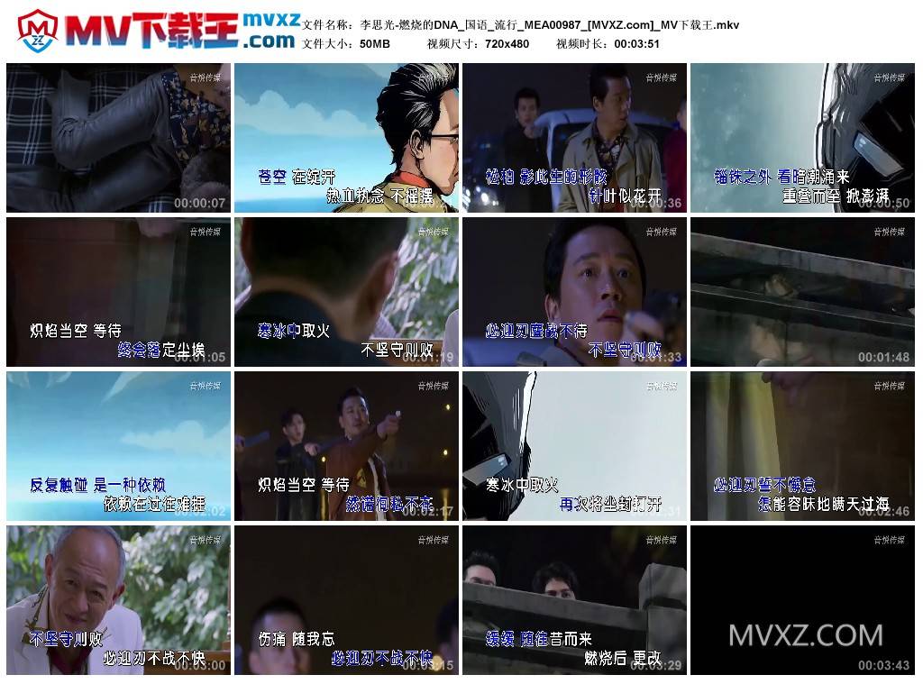 李思光-燃烧的DNA_国语_流行_MEA00987